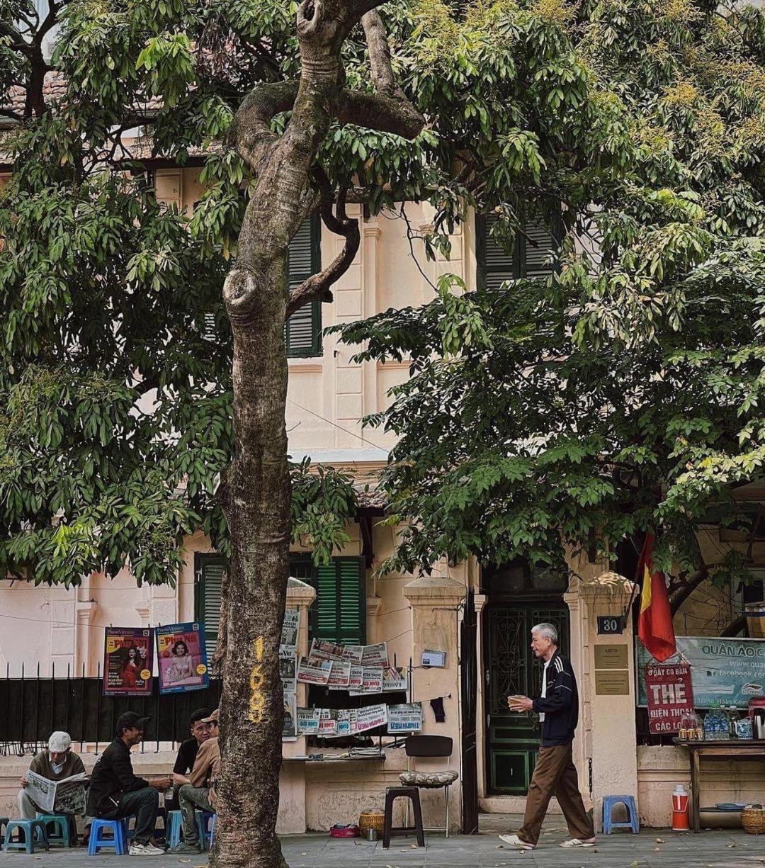 Tropical Land Little Hanoi Homestay ภายนอก รูปภาพ