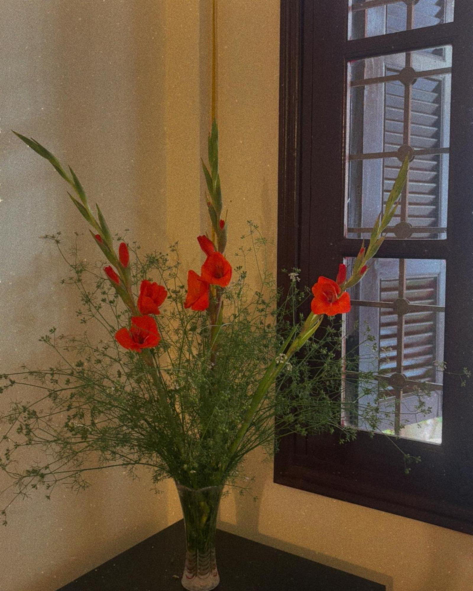 Tropical Land Little Hanoi Homestay ภายนอก รูปภาพ